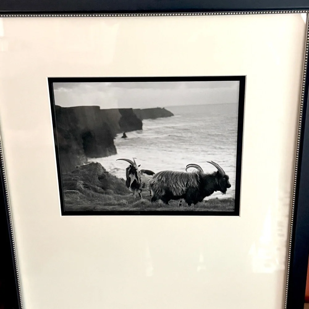 Mountain Goat Black & White Photo Black Framed Wall Hanging Art Coastline Ocean
